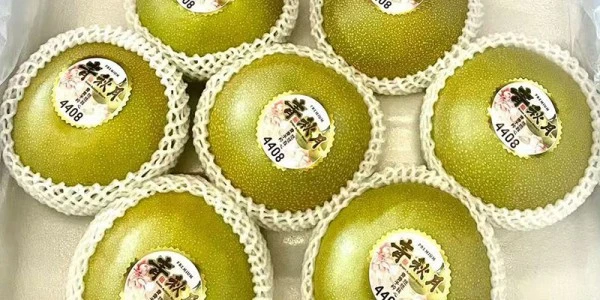 Orchard Direct farming operations and fresh produce