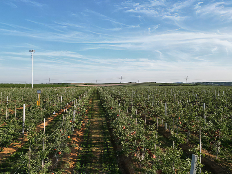 Contract farming partnership with local growers